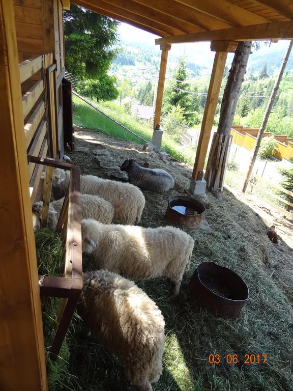 فندق Alpenhof Pansion سلافسكي المظهر الخارجي الصورة